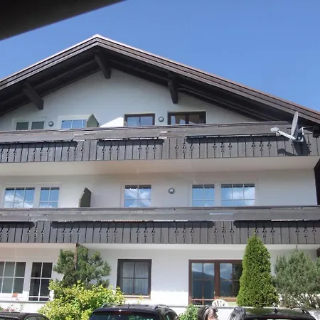 Aurikel * シュタイビス